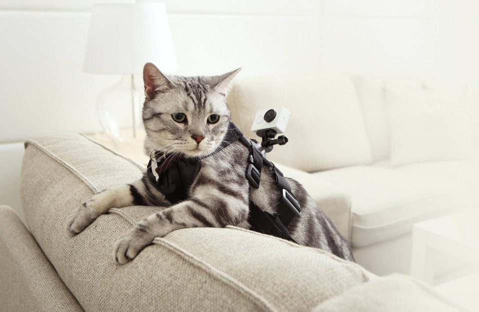 lo mejor de mwc 2015 dia 1 xiaomi yi camera 960x623