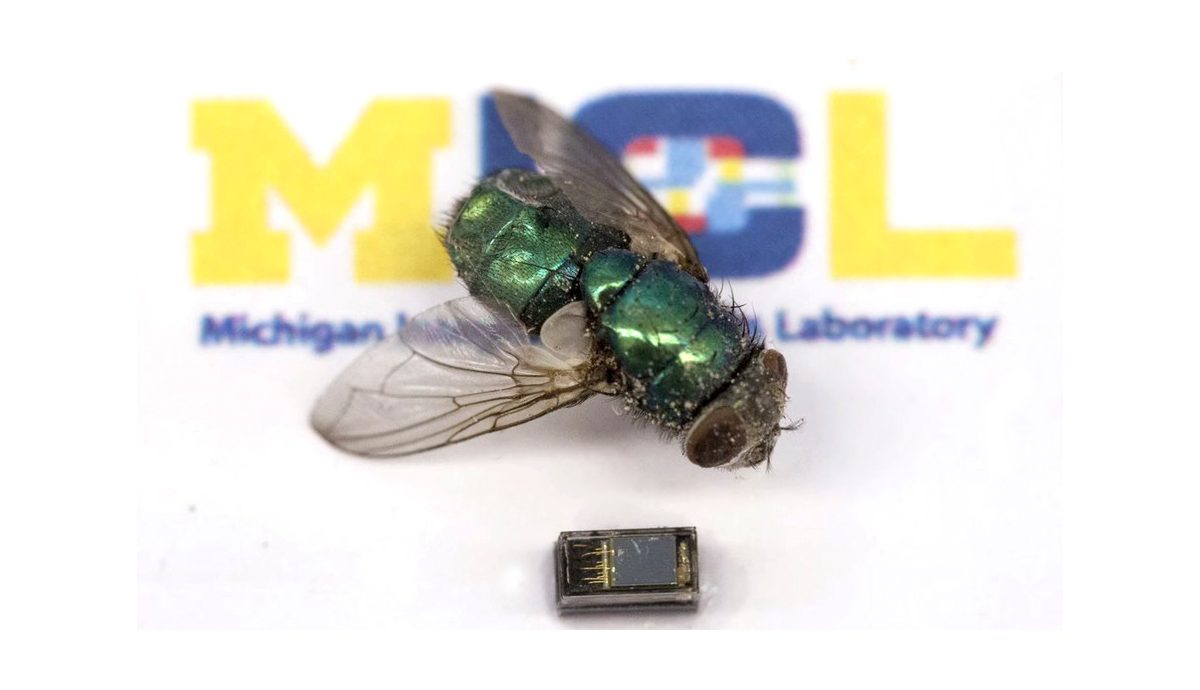 exhiben la computadora mas pequena del planeta ordenador michigan labs