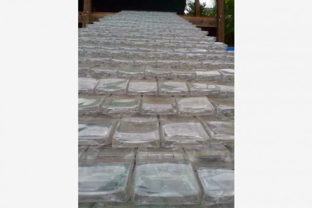 proyecto recicla botellas de plastico en tejas 4