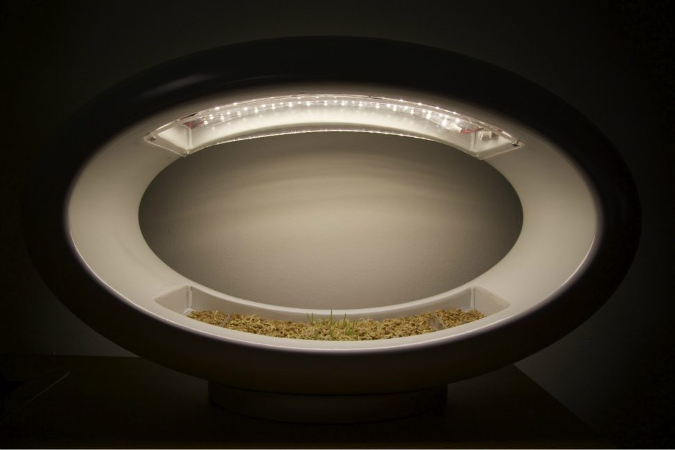 lampara hidroponica verde sentidos glasslamp grasslamp 11 970x647 c