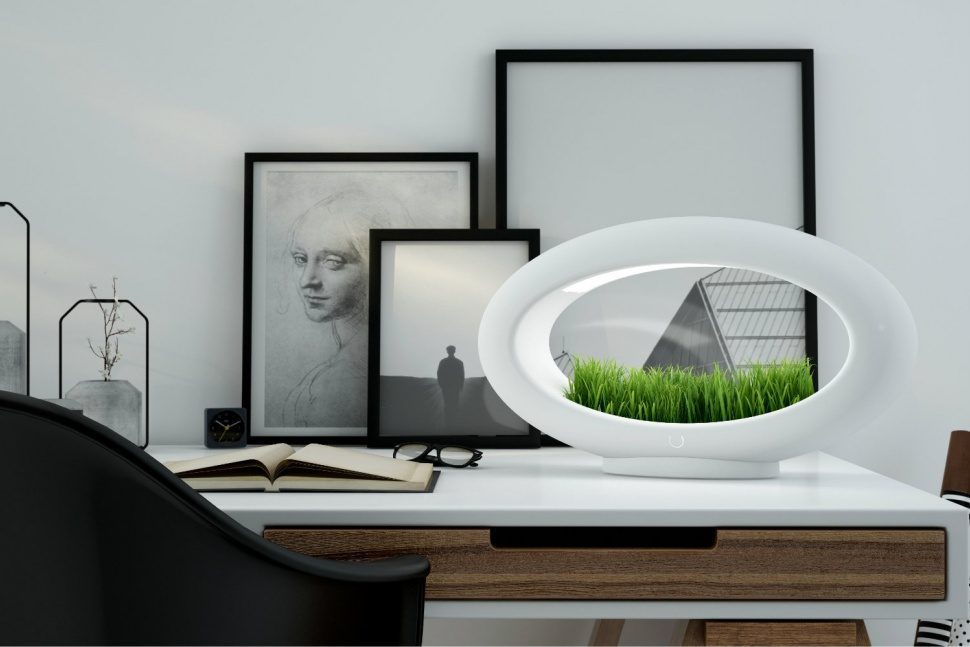 lampara hidroponica verde sentidos glasslamp grasslamp 2 970x647 c