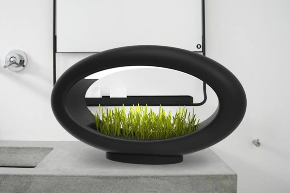 lampara hidroponica verde sentidos glasslamp grasslamp 3 970x647 c