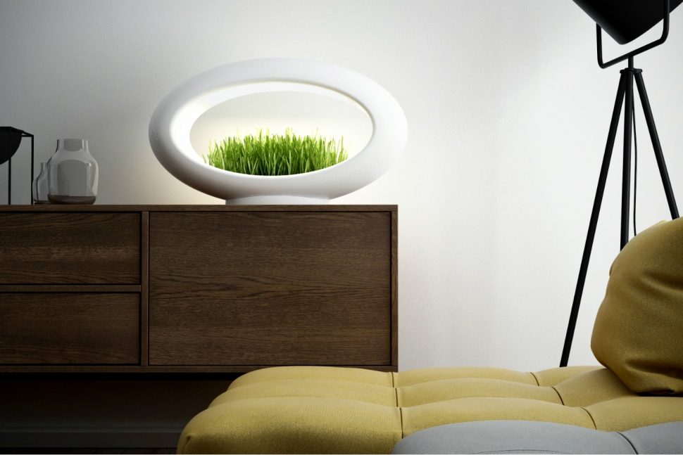 lampara hidroponica verde sentidos glasslamp grasslamp 4 970x647 c