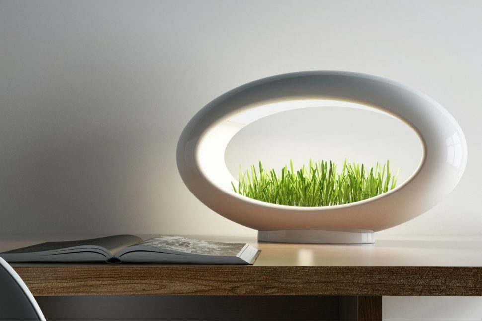 lampara hidroponica verde sentidos glasslamp grasslamp 5 970x647 c