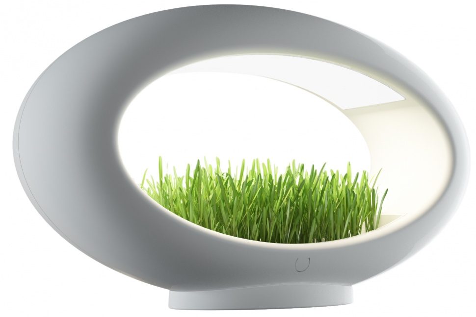 lampara hidroponica verde sentidos glasslamp grasslamp 8 970x647 c