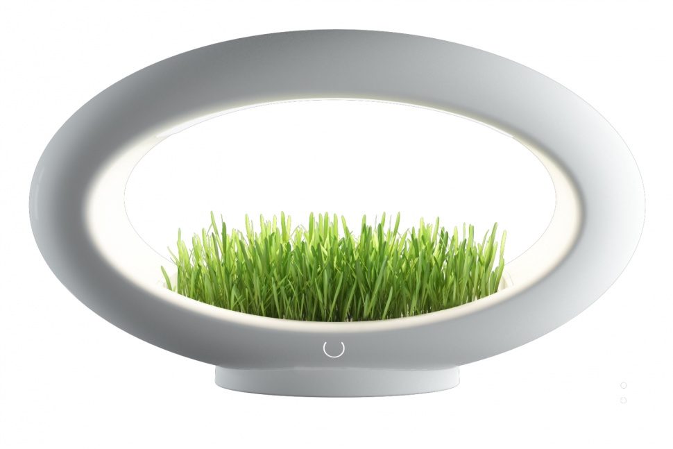 lampara hidroponica verde sentidos glasslamp grasslamp 9 970x647 c