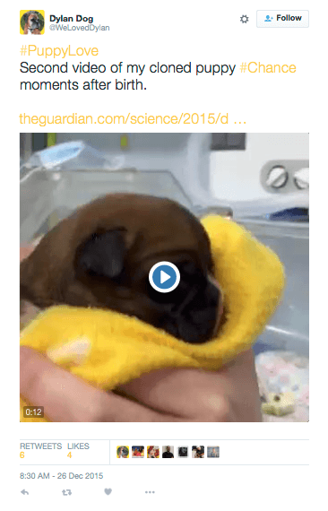 Screen Shot 2015-12-28 at 9.56.42 PM