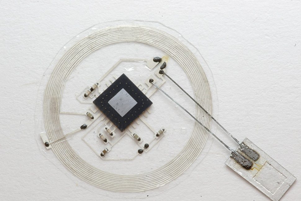 invento implante actividad cerebral dissolving brain implant 970x647 c