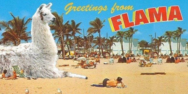 alexis tirado latina super cool medios digitales 1200x600