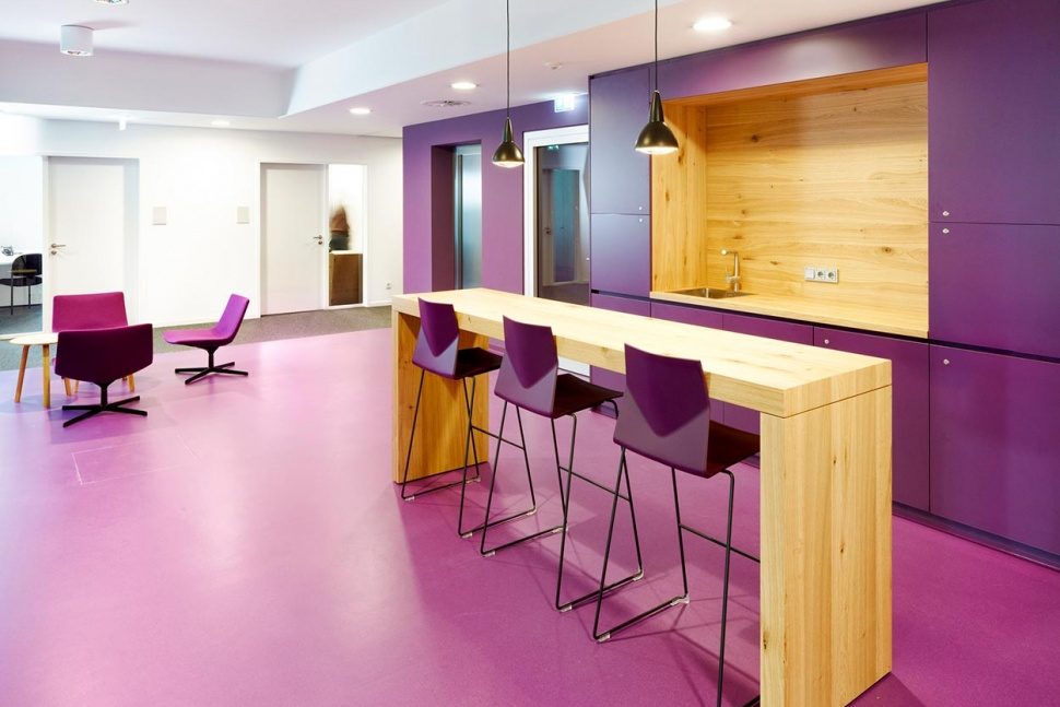 blauhaus paneles solares 15