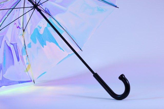 oombrella el paraguas inteligente contra viento y marea day zoomed