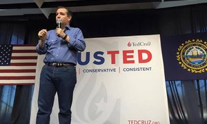 ted cruz dominios campana 12661867 10153863519957464 3023373254944098173 n 640x0
