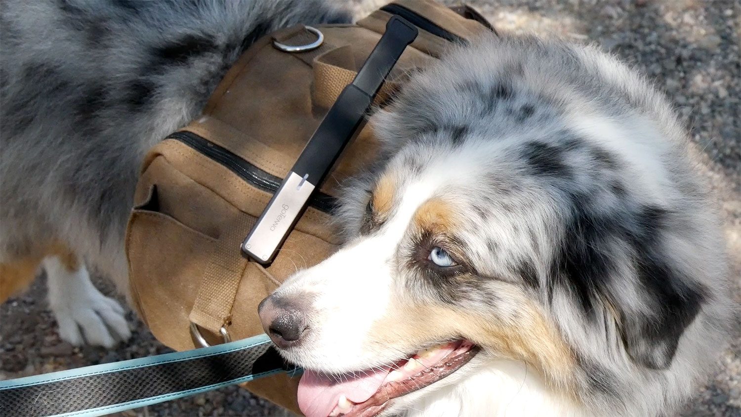 gotenna senderismo cobertura 0005 1500x844