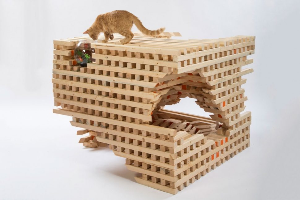 arquitectos casas gatos hok photo credit meghan bob photography 970x647 c