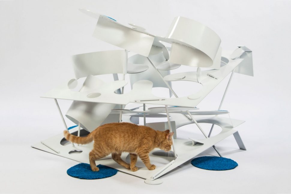 arquitectos casas gatos lehrerarchitects photo credit meghan bob photography 970x647 c