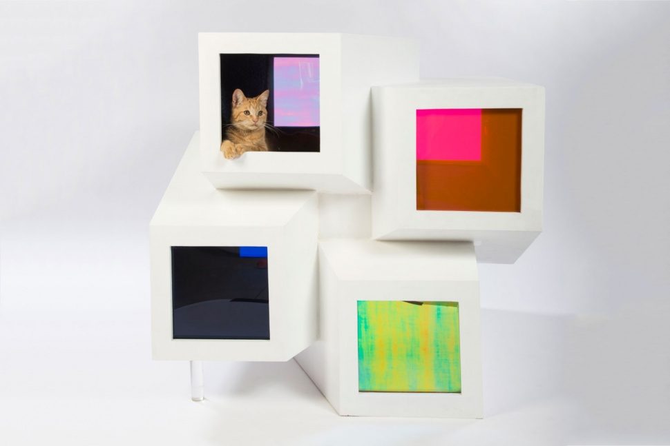 arquitectos casas gatos perkinswill photo credit meghan bob photography 970x647 c