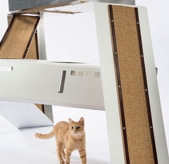 arquitectos casas gatos word schmidt photo credit meghan bob photography 970x647 c