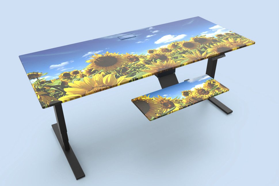 deskshields escritorio personalizado evodesk deskshield 5 970x647 c