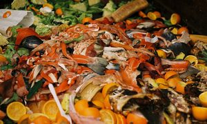 corea del sur cubos basura inteligentes foodwaste 640x0