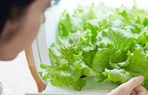 screen-shot-2016-05-01-at-2-22-52-pm-1521x982