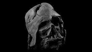 hcwqjqgo9rp2y6tkdn1e