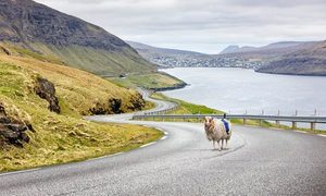 islas faroe ovejas google maps 1024