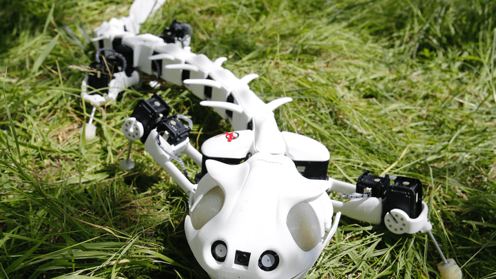 robot salamandra podria ayudar paraplejicos screen shot 2016 06 30 at 16 35 00 720x405 c