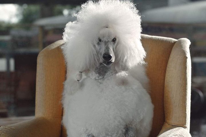 rumores sobre pixel y xl de google 001 6 720x480 c