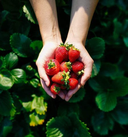 rumores sobre pixel y xl de google 002 3 720x480 c