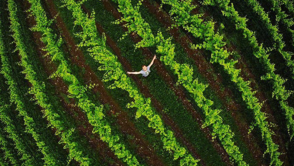 aer convierte tu gopro en un balon de futbol wine 3 970x546 c