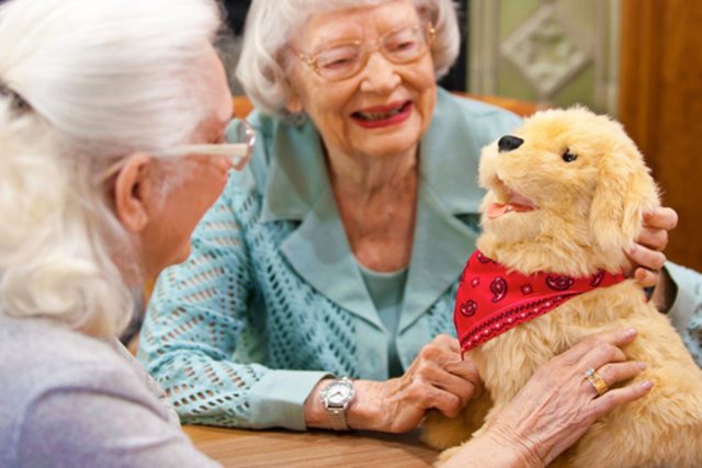 perrito robot para compania de ancianos 3