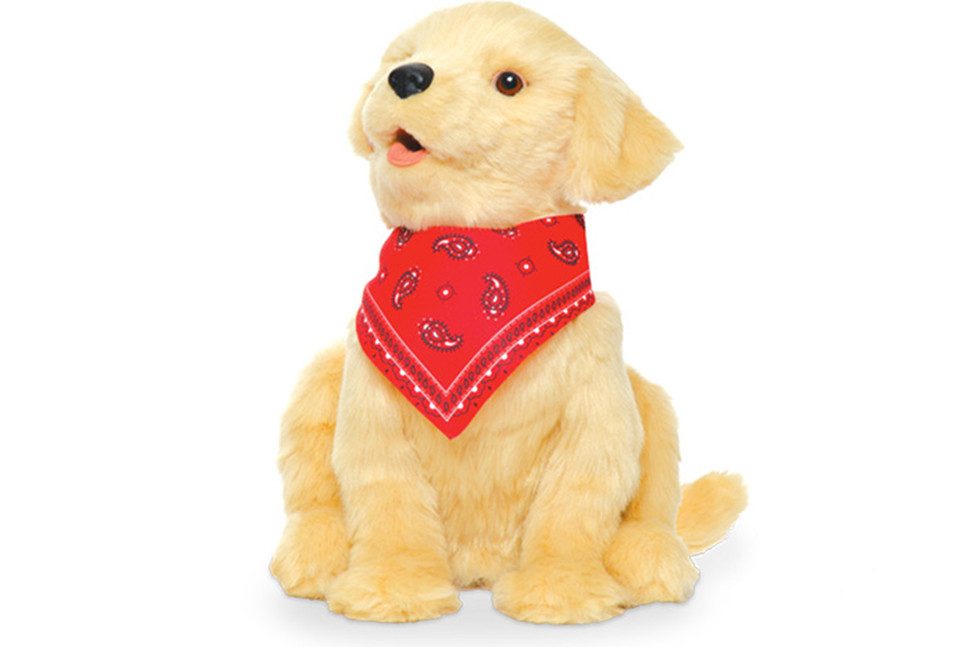 perrito robot para compania de ancianos 5