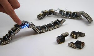 el robot modular chainform del mit modularrobot5 720x480 c