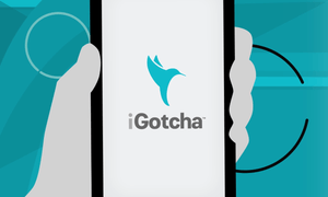 igotcha app traduccion 2017 01 05 12