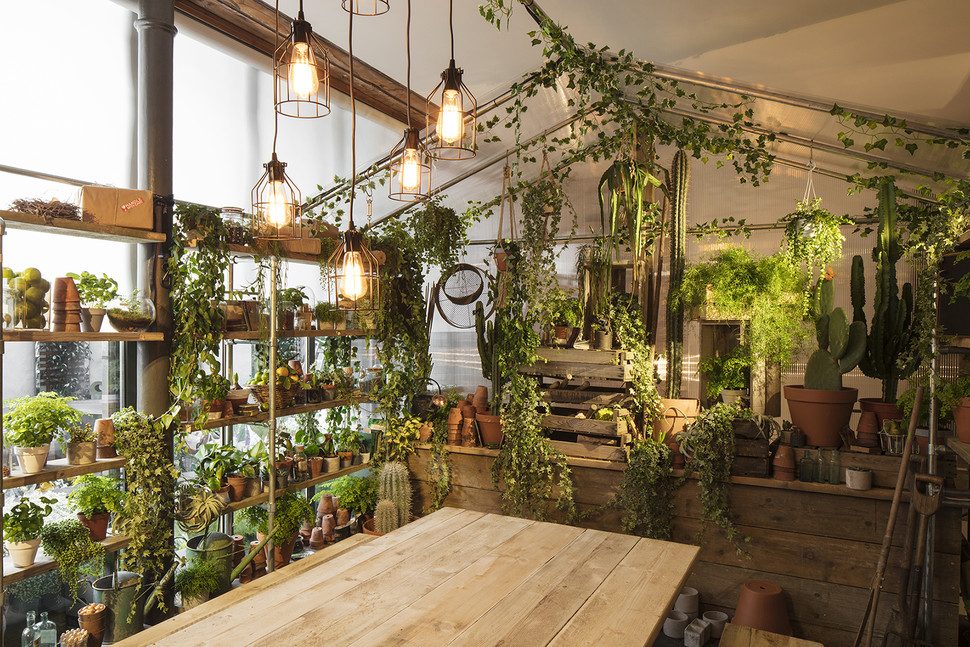 casa londres airbnb greenery 112 970x647 c