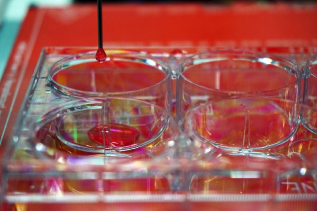 imprimen piel humana en 3d bioimpresora uc3m 10 720x480 c