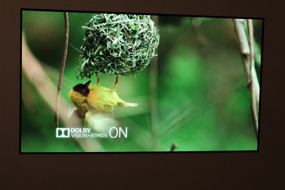 lanzamiento tv wallpaper oled de lg ces 2017 img 1120 2 970x647 c