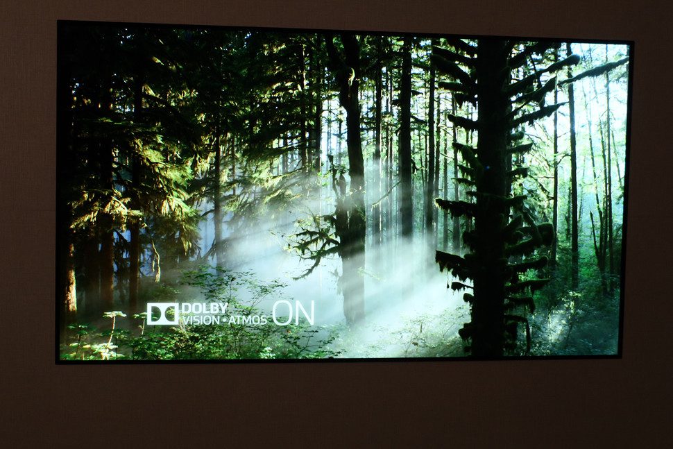 lanzamiento tv wallpaper oled de lg ces 2017 img 1121 970x647 c