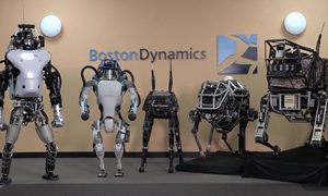 robot hibrido the handle boston dynamics