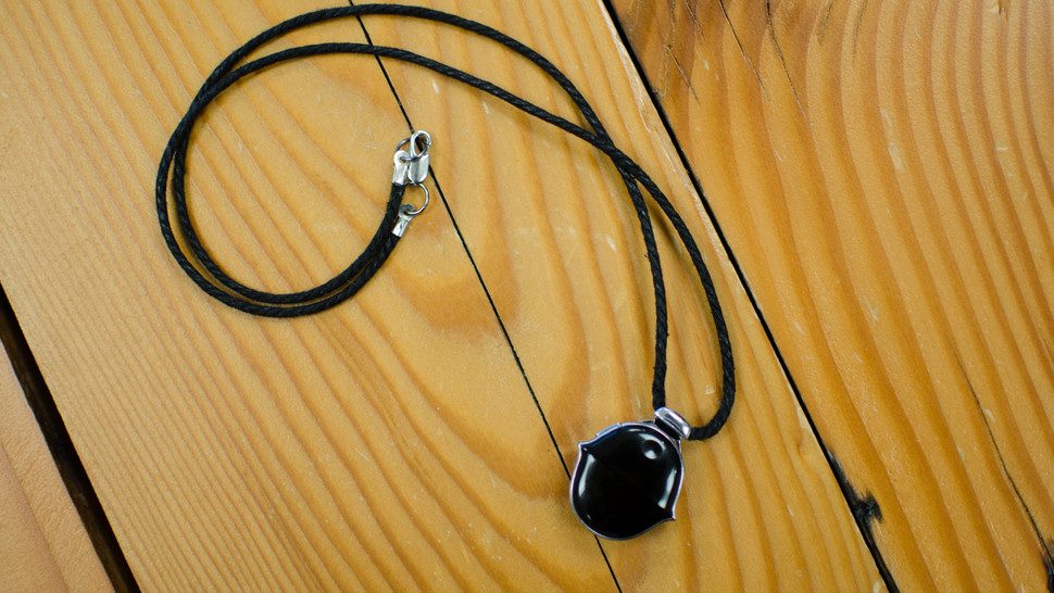 collar electronico senston dsc 8288 970x546 c