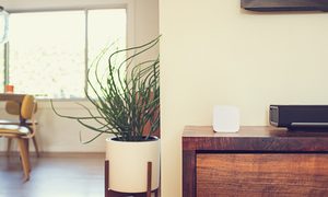 controlar entretenimiento hijos circle disney 1200x0