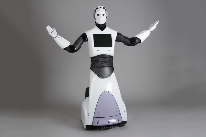 Pal-Robotics