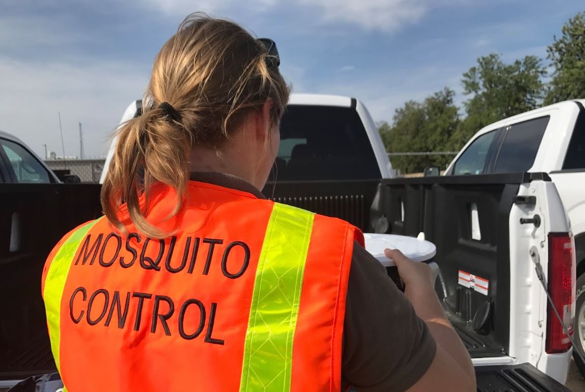 control mosquitos verily google mosquito