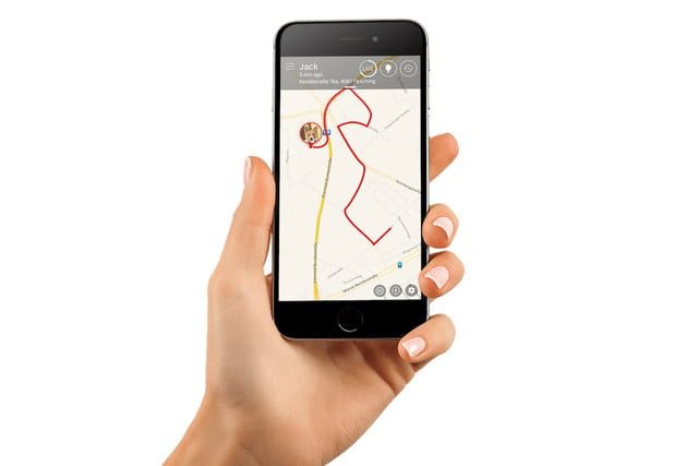 tractive rastrea mascotas 5 640x427 c