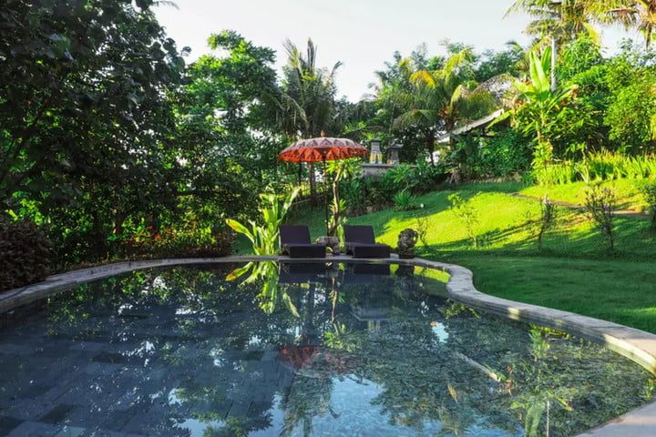 Balian Treehouse (Bali, Indonesia)