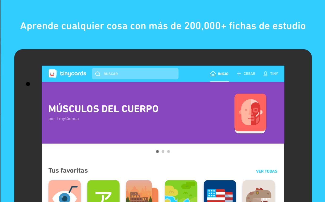 tinycards duolingo espanol tinycards3