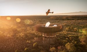 hotel en forma de nido gigante