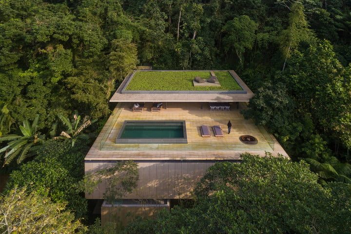 Jungle house 2