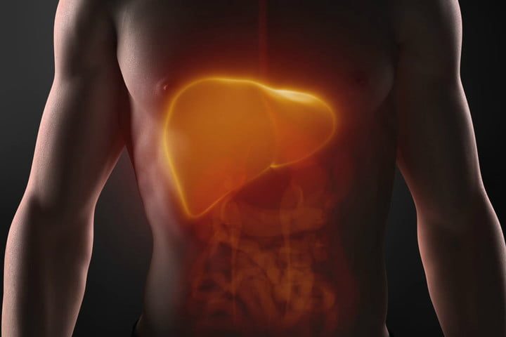 trafico de órganos higado