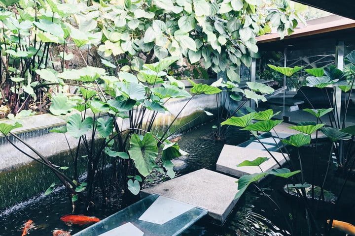 The Sheats Goldstein residence5